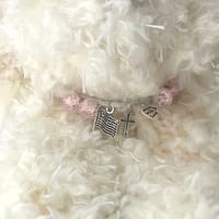 Bella – Palliative Puffs